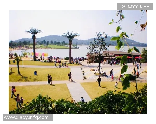 探寻义乌姚明山庄的自然魅力与文化底蕴之旅