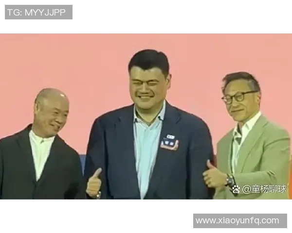 姚明选择的椅子背后隐藏的故事与设计理念揭秘