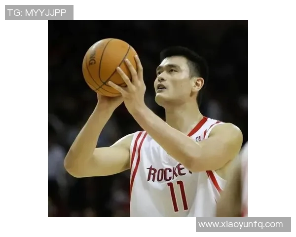 姚明传奇人生与篮球成就的英雄之路简介