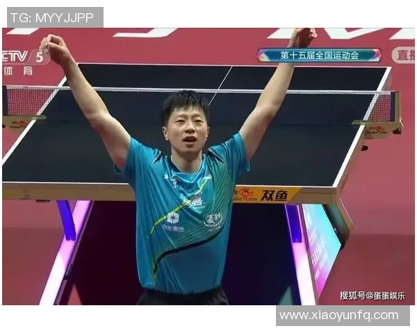 中国体育明星展现体育精神的光辉与追求卓越的奋斗历程